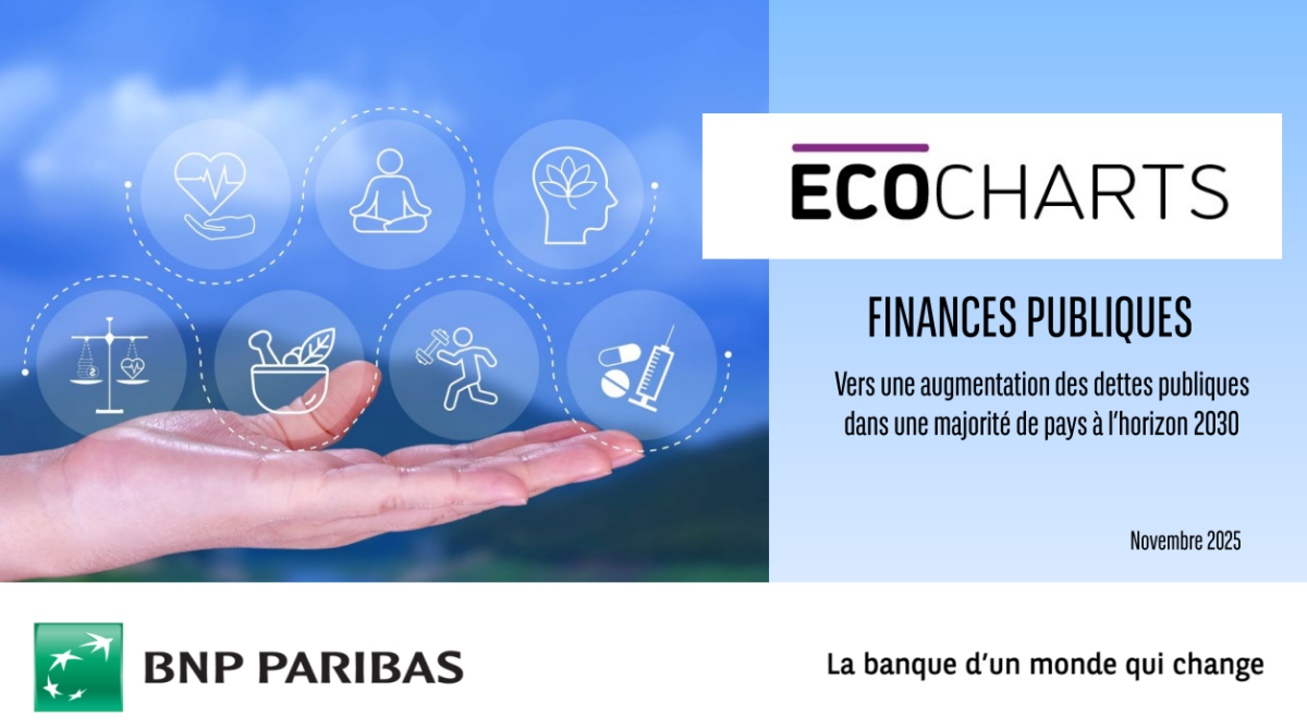 Public debt: when budgetary constraints redefine the value of expertise 